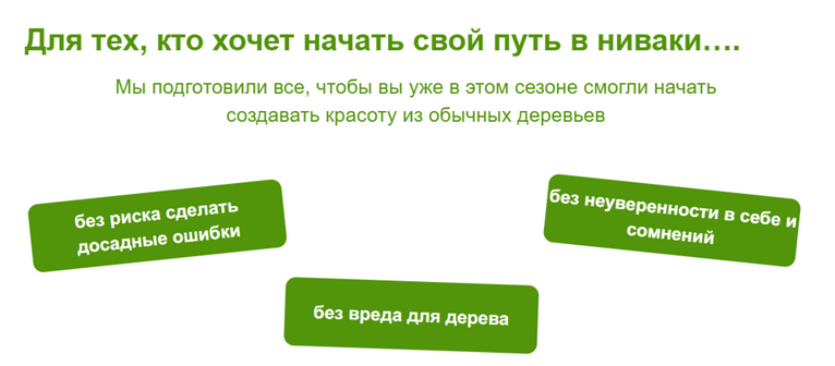 [Андрей Даусенков] Дерево как произведение искусст_0.png